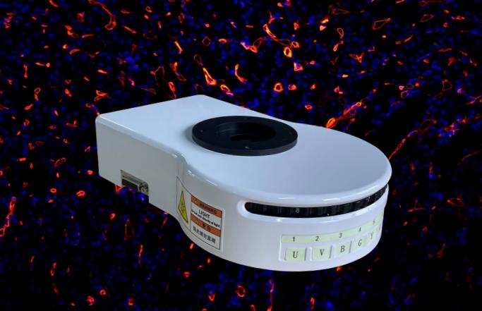 正置八孔LED荧光附件 ASFL-UBG